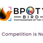 Bird Photographer of the Year 2023