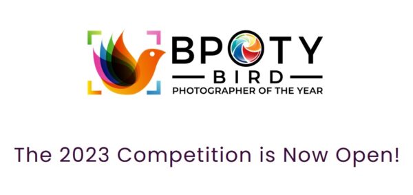 Bird Photographer of the Year 2023