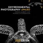 Environmental Photography Award 2023