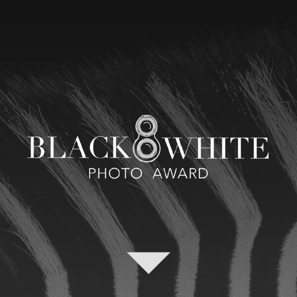 Black and White Photo Awards 2023