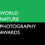 World Nature Photography Awards 2023