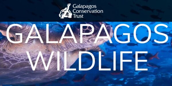 Galapagos Photography Competition 2023