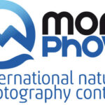 MontPhoto Contest 2023