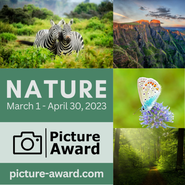 Picture Award 2023 - NATURE