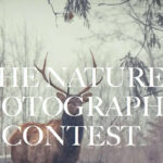 Nature Photography Contest 2023