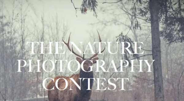 Nature Photography Contest 2023
