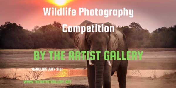 Wildlife Photography Contest 2023 by The Artist Gallery