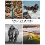 The WILD Photo Awards - Win UNCAPPED Prize Money