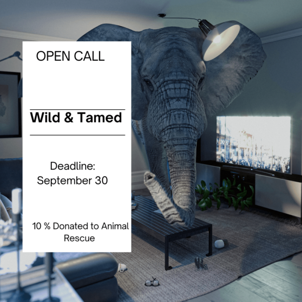 Wild and Tamed Animals Art Competition