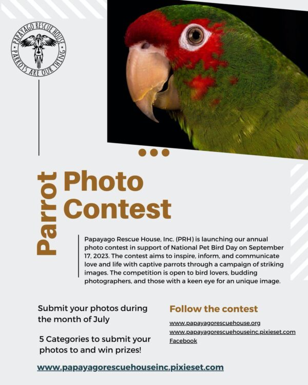 Parrot Photo Contest