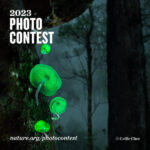 The Nature Conservancy's Global Photo Contest