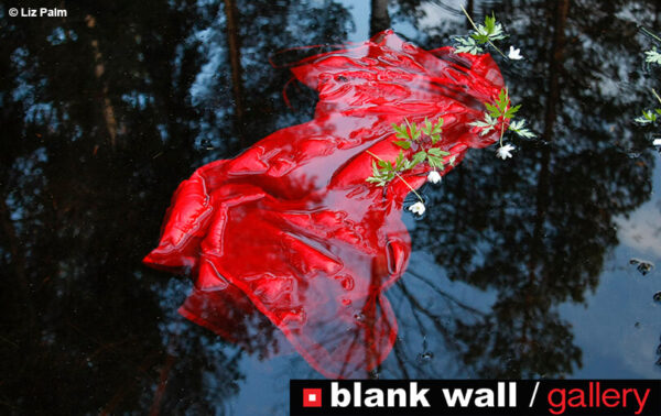Conceptual by Blank Wall Gallery