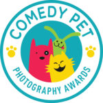 Comedy Pet Photo and Video Awards 2024