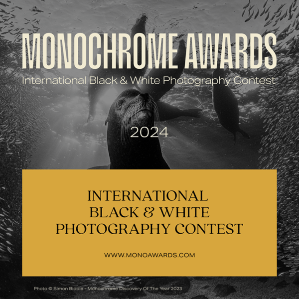 Monochrome Awards 2024