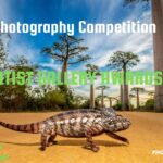 Wildlife Photography Contest 2024 by The Artist Gallery Awards