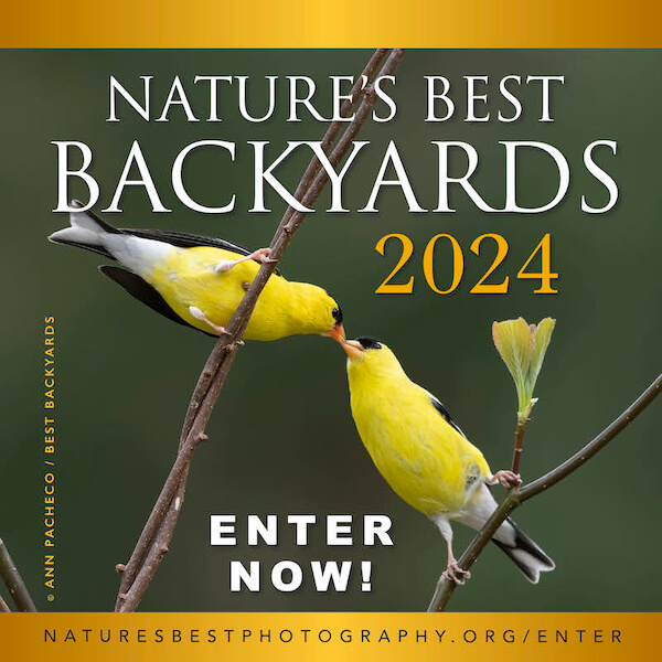 2024 Nature’s Best Backyards