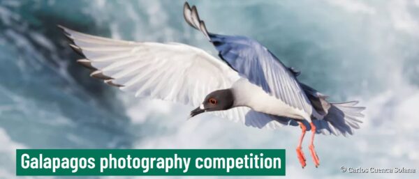 Galapagos Photography Competition 2024