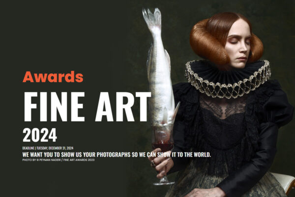 Fine Art Awards 2024