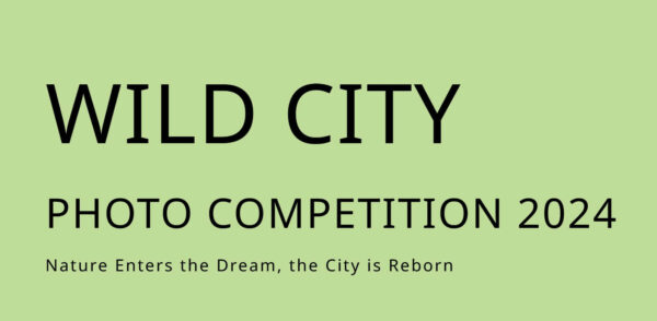 Wild City Photo Competition 2024