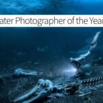 Underwater Photographer of the Year 2025