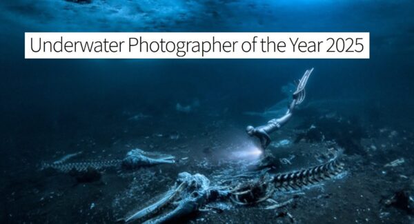 Underwater Photographer of the Year 2025