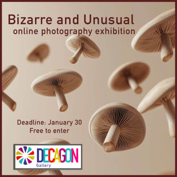 Bizarre and Unusual - online photography exhibition