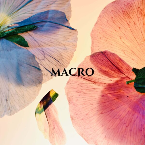 “Macro” A Macro Photography Exhibition