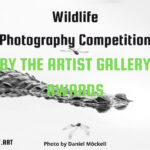 Wildlife Photography Contest 2025 by The Artist Gallery Awards