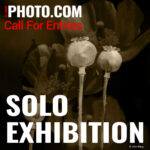 Win an online Solo Exhibition in June 2025