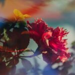 “Colours” A Colour Photography Exhibition.
