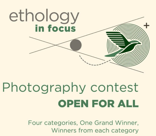 Ethology in Focus: Wildlife Photography Contest