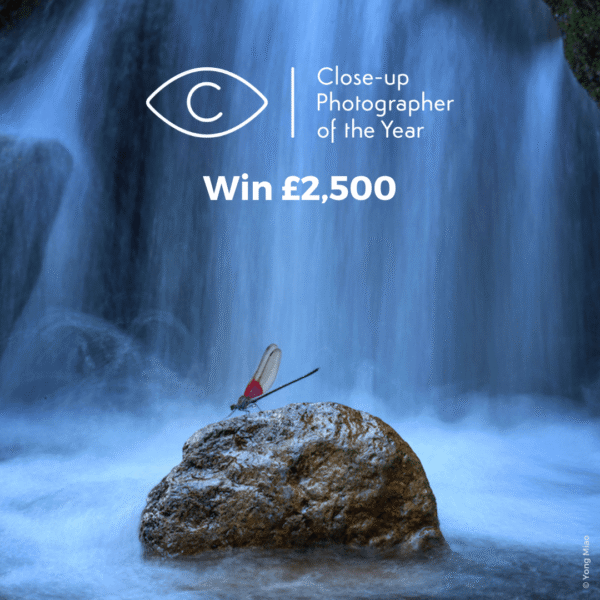 Photography competition Close-up Photographer of the Year 2025 Close-up Photographer of the Year 2025