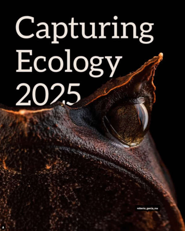 Photography competition Capturing Ecology