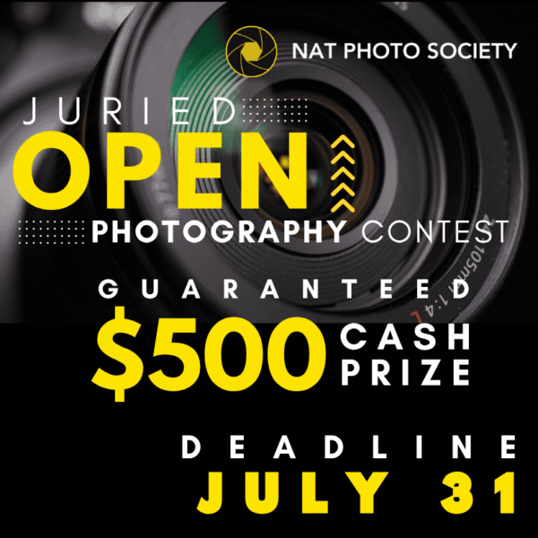 Photography competition Scaling Heights with Winged Choices | OPEN Photography Contest