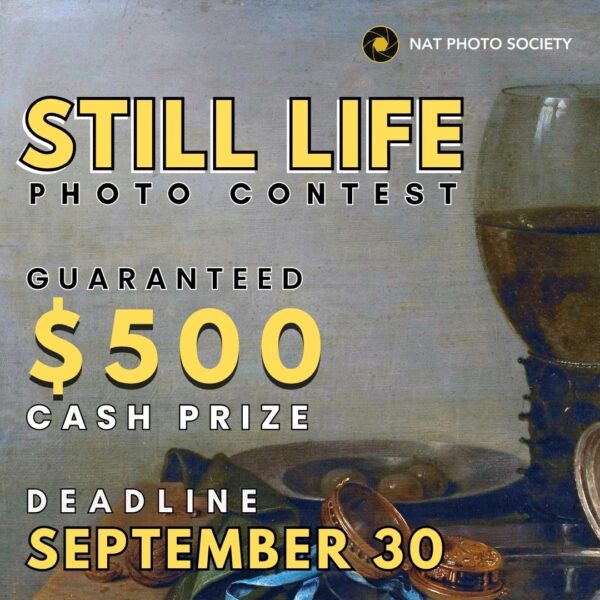 Photography competition Still Life Diaries | Still Life Photography Contest