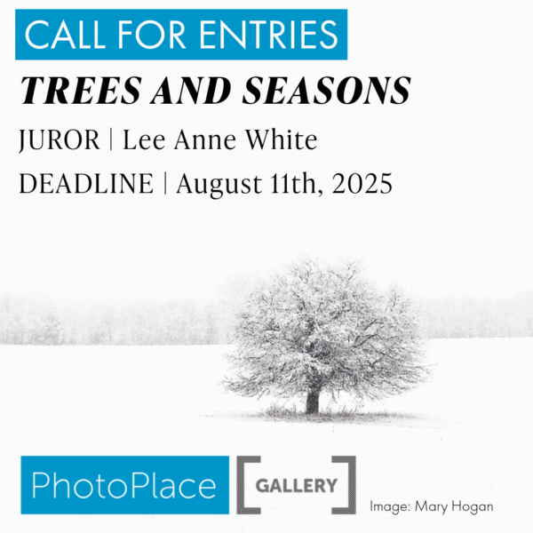 Photography competition Trees and Seasons Trees and Seasons