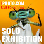 Win an online Solo Exhibition in September 2025