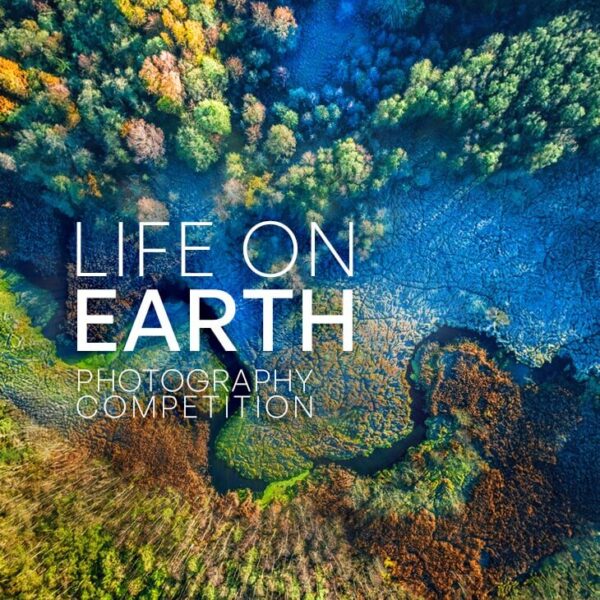 'Life on Earth' at Blackburn Cathedral