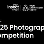 Insect Photography Competition 2025