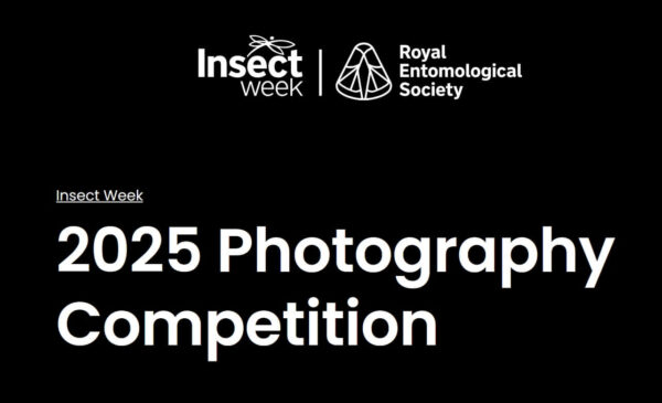 Photography competition Insect Photography Competition 2025 Insect Photography Competition 2025