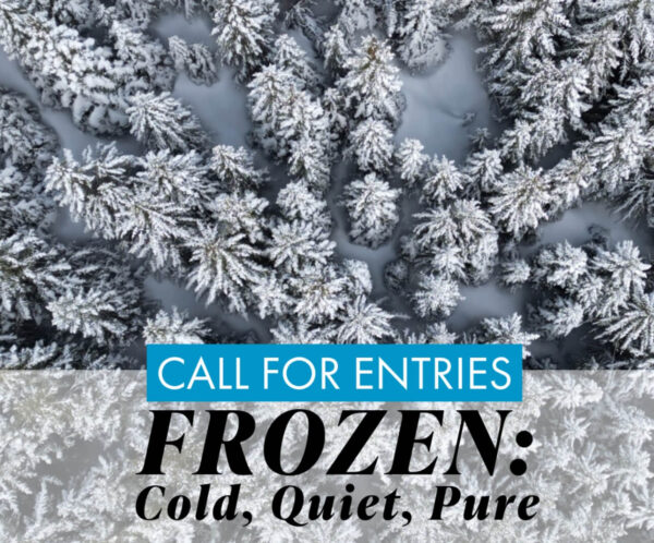 Photography competition Frozen: Cold, Quiet, Pure Frozen: Cold, Quiet, Pure