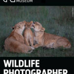 Wildlife Photographer of the Year 2025