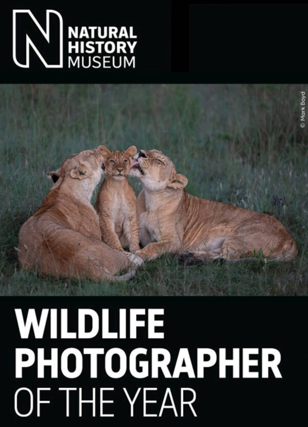 Wildlife Photographer of the Year 2025