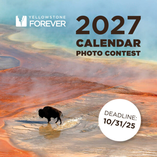 Photography competition Yellowstone Forever Calendar Photo Contest Yellowstone Forever Calendar Photo Contest