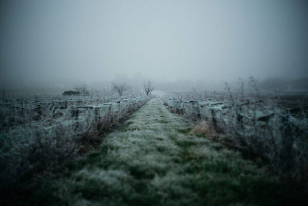 “Cold” A Winter Photography Exhibition