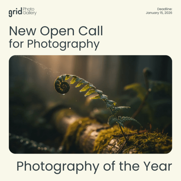 Photography of the Year 2025 Grid Photo Gallery