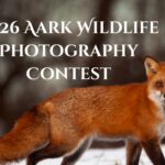Aark Wildlife Photography Contest 2026
