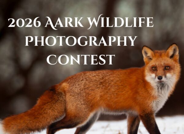 Aark Wildlife Photography Contest 2026