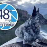 AKC Photo Contest