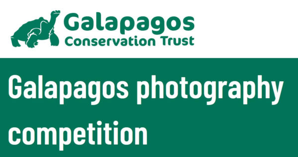 Galapagos Photography Competition 2026